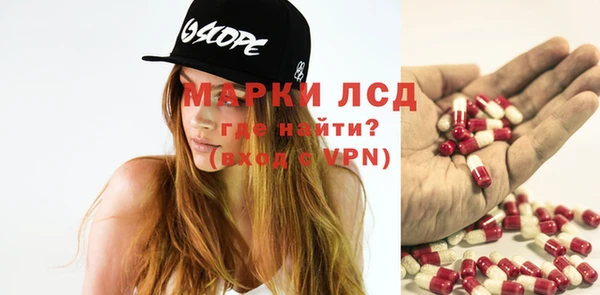 стаф Пересвет