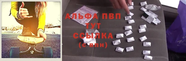 стаф Пересвет