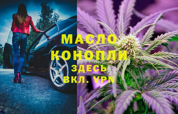 стаф Пересвет