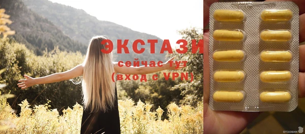 стаф Пересвет