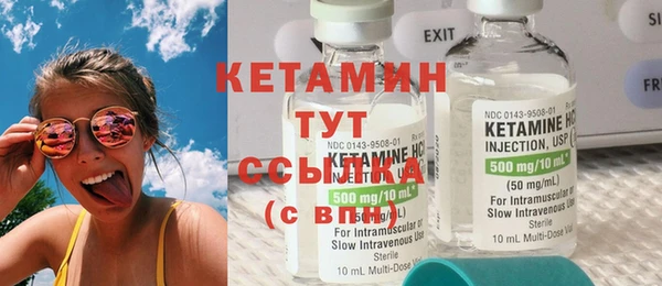 стаф Пересвет