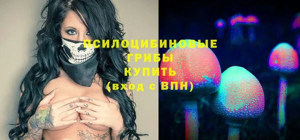 стаф Пересвет
