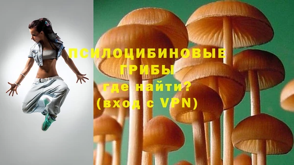 мяу мяу мука Переславль-Залесский