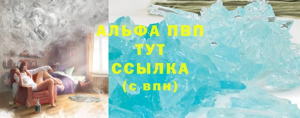 стаф Пересвет
