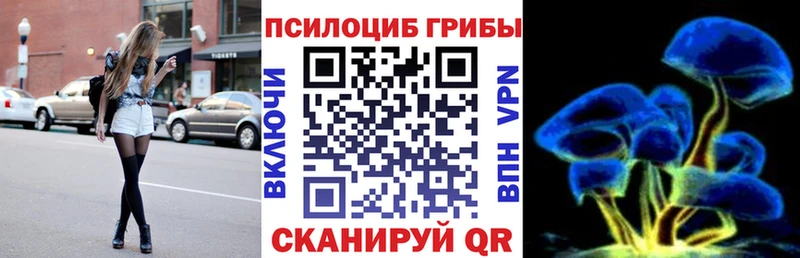 Галлюциногенные грибы Cubensis  Балтийск 