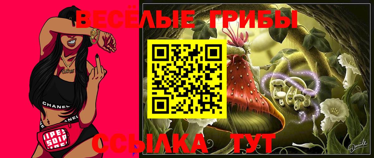 Галлюциногенные грибы Cubensis Балтийск