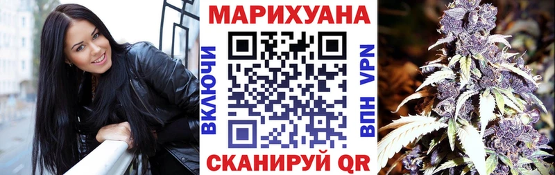 Конопля Bruce Banner Балтийск